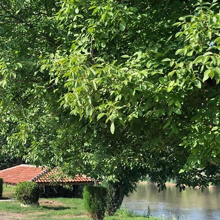 Apartmani Morava 54 Kocino Selo Zewnętrze zdjęcie
