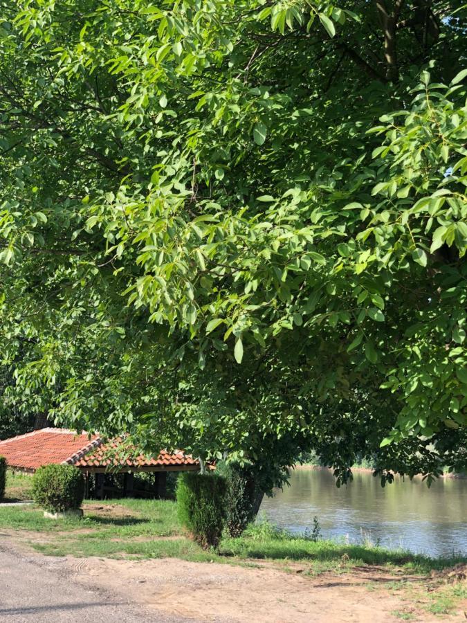 Apartmani Morava 54 Kocino Selo Zewnętrze zdjęcie