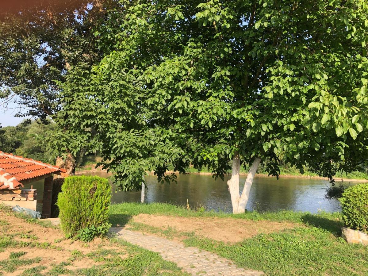 Apartmani Morava 54 Kocino Selo Zewnętrze zdjęcie