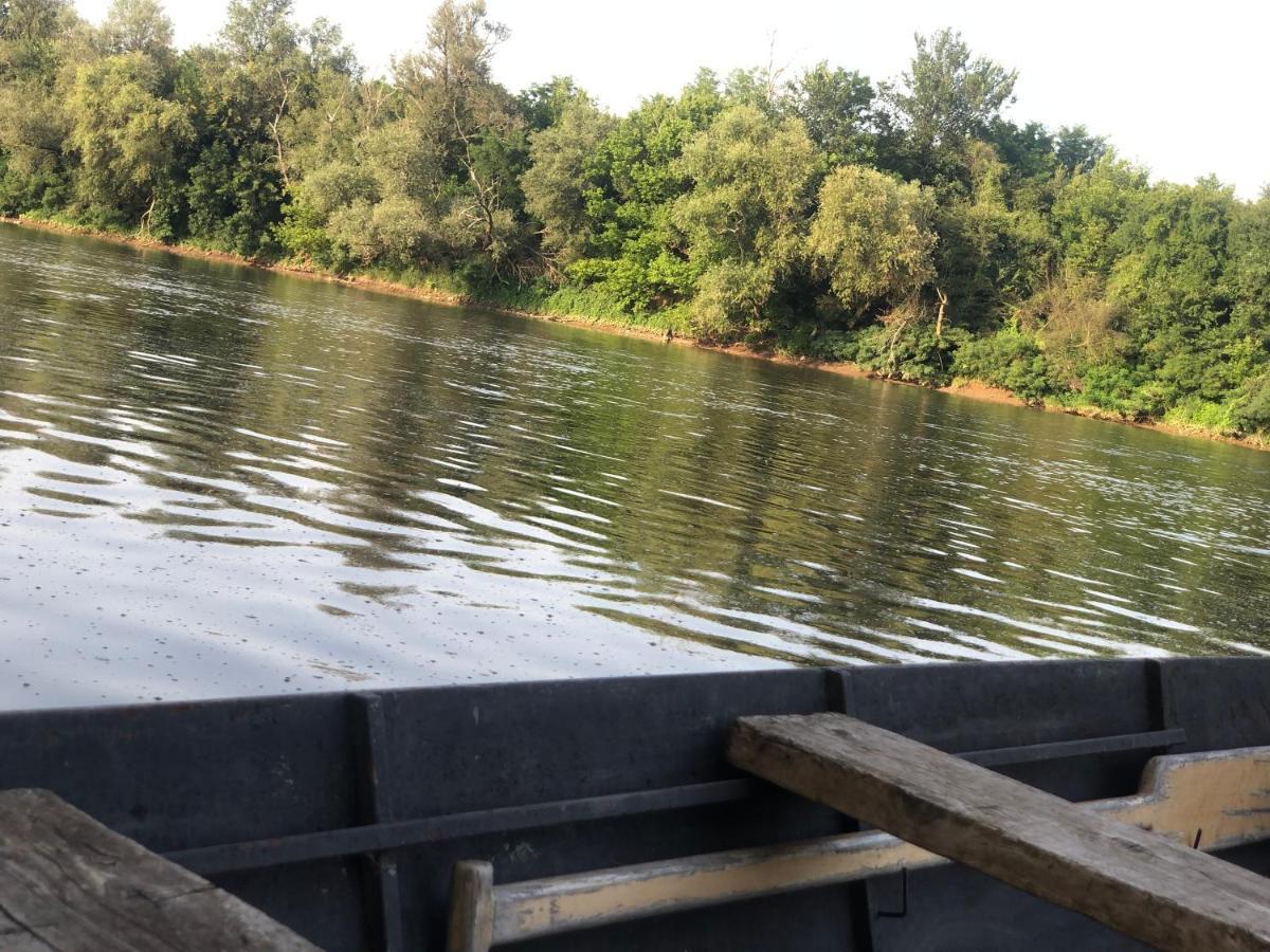 Apartmani Morava 54 Kocino Selo Zewnętrze zdjęcie
